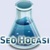 SEO Hocası