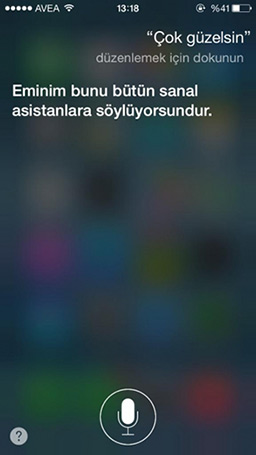 turkce-siri-2