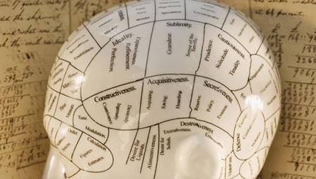 insan-beyni-haritasi