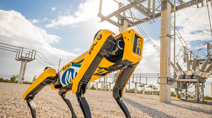 Boston Dynamics Robot Köpek Spot
