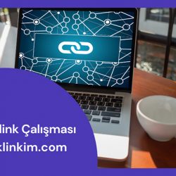 Backlink Çalışması