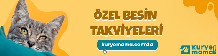 Royal Canin Kedi Köpek Maması