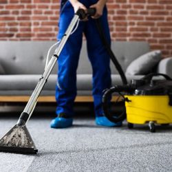 Halı Temizleme Servisi