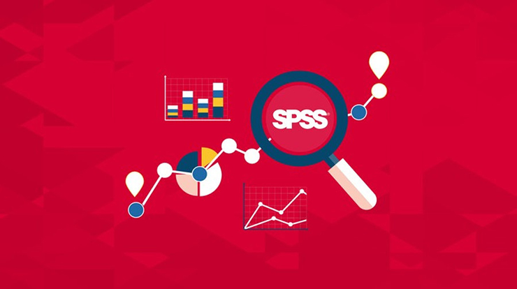 IBM SPSS 31