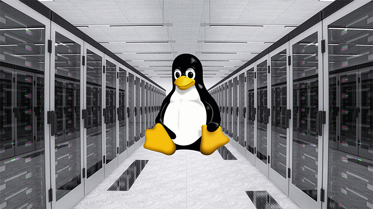 Linux Hosting Güvenliği