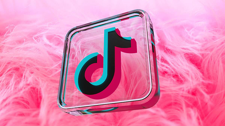 Tiktok Video İndir