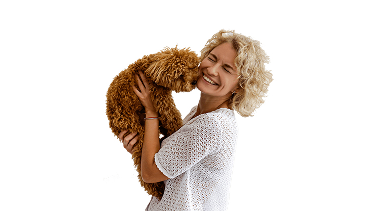 köpek egzersizi